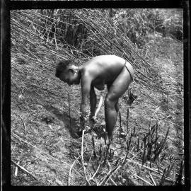 Woman Digging with Stick