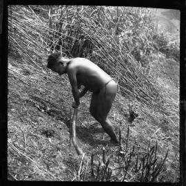 Woman Digging with Stick