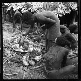 Group Butchering Pigs