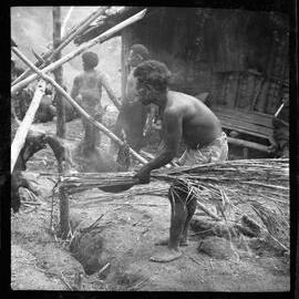 Group Preparing Pigs for a Ceremony