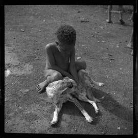 Child Petting a Dog