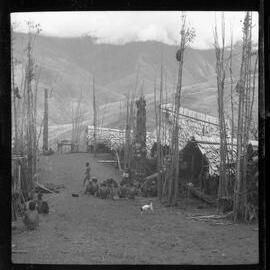 Groups Sitting Outside Buildings with Food Poles