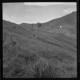 Mountainside, Papua New Guinea