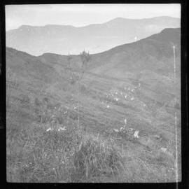 Mountainside, Papua New Guinea