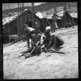 Group Preparing a Pig for a Ceremony