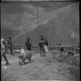 Group Passing Through Gate on Mountainside
