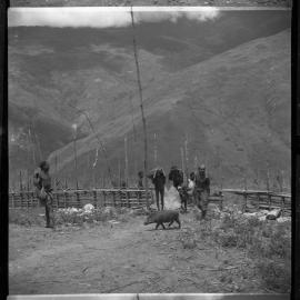 Group Passing Through Gate on Mountainside