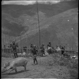 Group Passing Through Gate on Mountainside