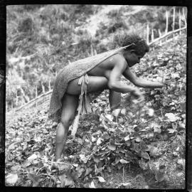 Woman with Net Bag Collecting Plants