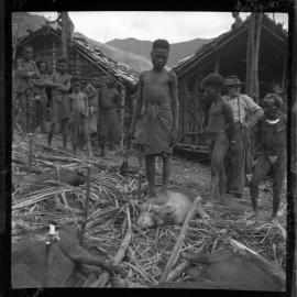Preparing Pigs for a Ceremony