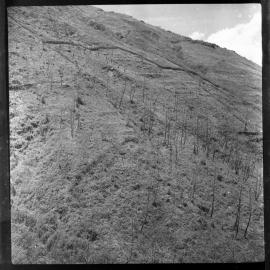 Mountainside, Papua New Guinea