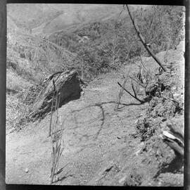 Mountainside, Papua New Guinea
