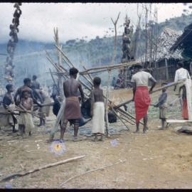 Group Preparing Pigs for a Ceremony