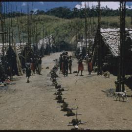 Food Distributions in a Village