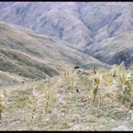 Mountainside, Papua New Guinea
