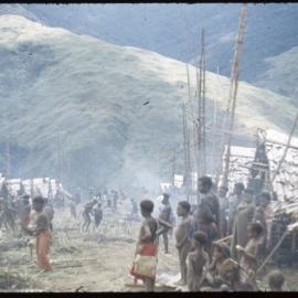 Group Preparing Pigs for a Ceremony