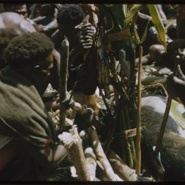 Men Preparing Pigs for a Ceremony
