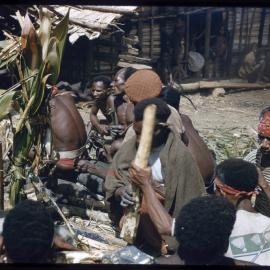 Men Preparing Pigs for a Ceremony