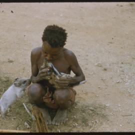 Person Sitting with Piglets