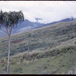 Mountainside, Papua New Guinea