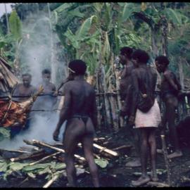 Group Cooking a Pig