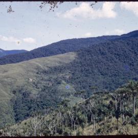 Mountainside, Papua New Guinea