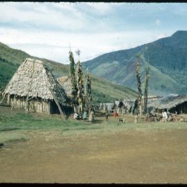 Village with Food Poles