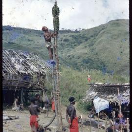 Man Climbing a Food Pole