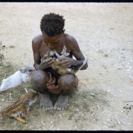 Person Sitting with Piglets