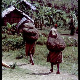 Women Carrying Net Bags