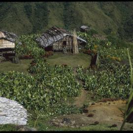 Mountainside Village and Gardens