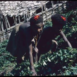 Two Girls Gardening