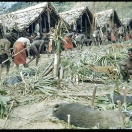 Group Preparing for a Ceremony