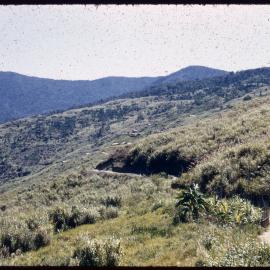 Mountainside Road