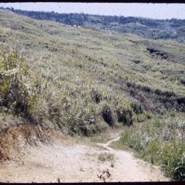Mountainside Road