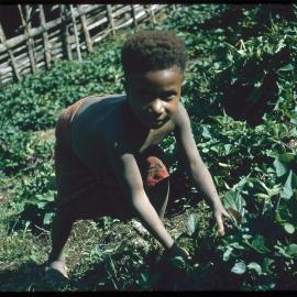 Child Collecting Plants
