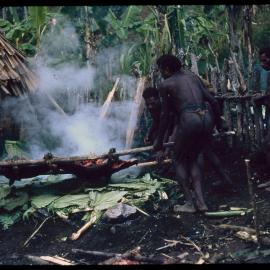 Group Cooking Pigs over a Fire