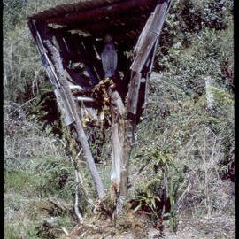 Wooden Shrine