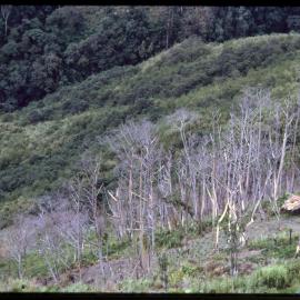 Small Building on Mountainside