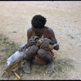 Person Sitting with Piglets