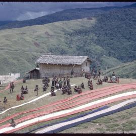 Lengths of Cloth Along Mountainside