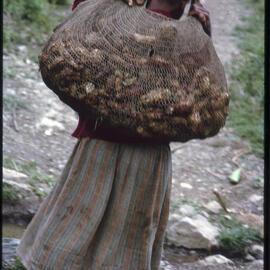 Woman Carrying Net Bag of Vegetables