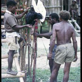 Men Preparing Elevated Platform in Village