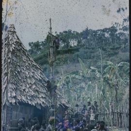 Men Climbing Food Pole