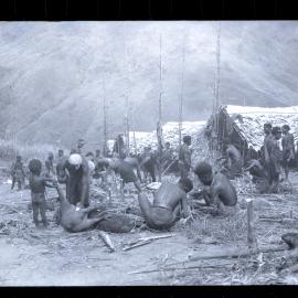 Group Preparing Pigs for a Ceremony