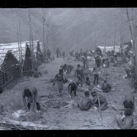 Group Preparing Pigs for a Ceremony