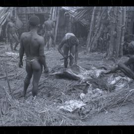 Group Preparing Pigs for a Ceremony