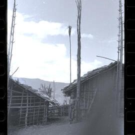 Boy Standing at the Base of an Empty Food Pole