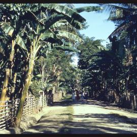 Four Women Walking on Path