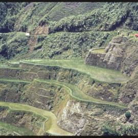 Rice Terraces